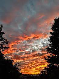 Awesome Tips On Nature Paintings - Sunset in Vision