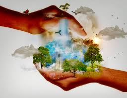 क्यों कोई जैव विविधता को बचाए ?