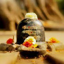 शिवपुराण के अनुसार पार्थिव शिवलिंग का है विशेष महत्व