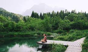 समझनी ही होगी प्रकृति की मूक भाषा