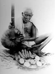 क्रमांक 11. भारतीय स्वतंत्रता संग्राम के गुमनाम नायक -वेंकट स्वामी रामय्या