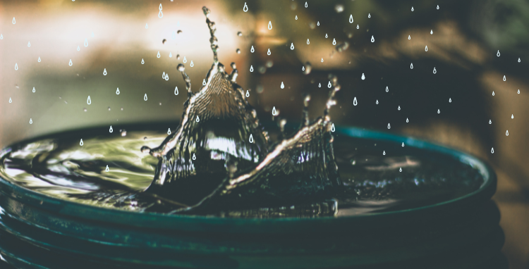  वर्षा जल को सहेजने की होनी चाहिए ईमानदार कोशिश