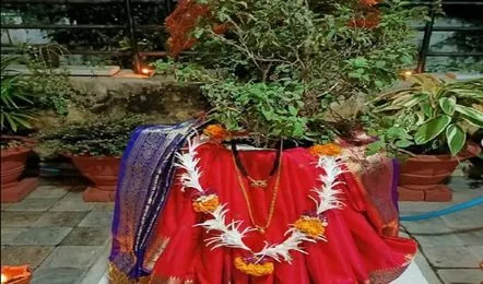 भगवान विष्णु ने आखिर क्यों किया था तुलसी से विवाह? जानिए इससे जुड़ी पौराणिक कथा