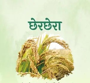 छत्तीसगढ़ की संस्कृति और उदारता का उत्सव: छेरछेरा 