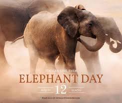 विश्व हाथी दिवस:  भारत में सभी के सह-अस्तित्व का सम्&zwj;मान है