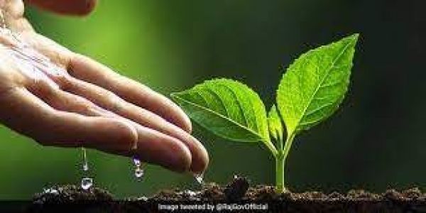 पर्यावरण संरक्षण से ही होगी पृथ्वी की सुरक्षा