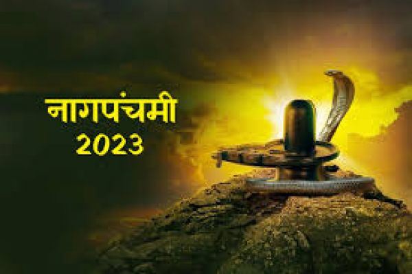 श्रावण महीने का  महत्वपूर्ण त्यौहार नागपंचमी 