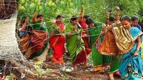 आंवला नवमी