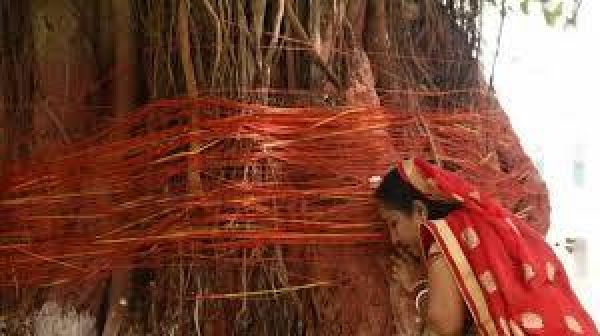  सुहागिन महिलाओं का विशेष दिन - वट सावित्री 
