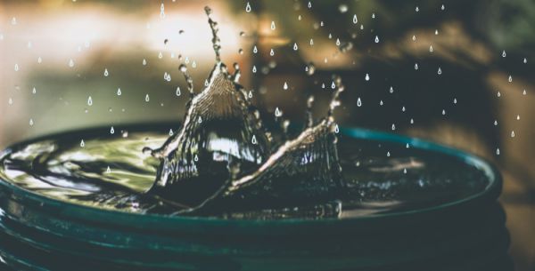  वर्षा जल को सहेजने की होनी चाहिए ईमानदार कोशिश