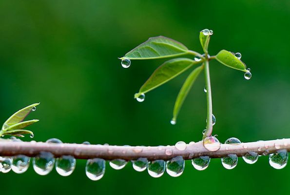 साहित्य में मनभावन सावन