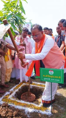 छत्तीसगढ़ : मुख्यमंत्री श्री विष्णु देव साय ने एक पेड़ मां के नाम अभियान के अंतर्गत लगाया केसर आम का पौधा