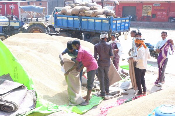 छत्तीसगढ़ : विशेष लेख : प्रदेश सहित कांकेर जिले में धान खरीदी का आज से हुआ आगाज़