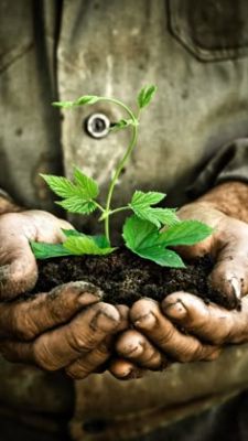  कृषि कार्य के समय रास्तों के विवादों में सरकार उचित ध्यान दे। 