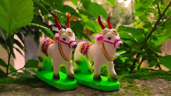 कृषि संस्कृति का उत्सव: पोला पर्व की परंपरा और महत्त्व