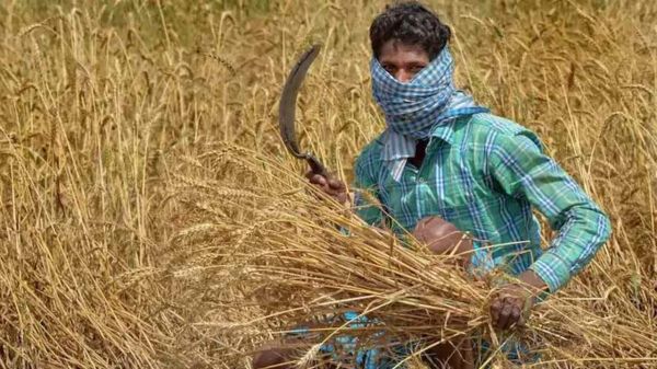 भूमि की बिगड़ती सेहत और किसान