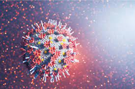 Primary series and original booster provide protection against Omicron infection