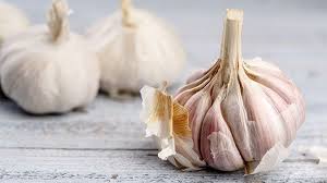 Garlic: The Pungent Herb!