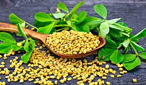 मेथी के फायदे और नुकसान