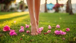  काफी फायदेमंद होता है सुबह घास पर चलना 