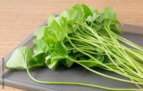 एंग्जायटी से लेकर सोरायसिस तक इन समस्याओं का ये है देसी इलाज