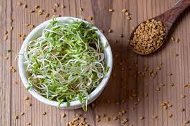 डायबिटीज ही नहीं इन 4 बीमारियों में भी खाएं अंकुरित मेथी