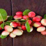  इन बीमारियों में खाएं करौंदा, मिलेगा लाभ