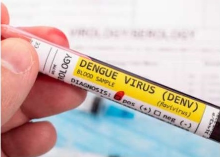 सेहत : बच्चों को डेंगू से बचाने बरतें ये सावधानियां
