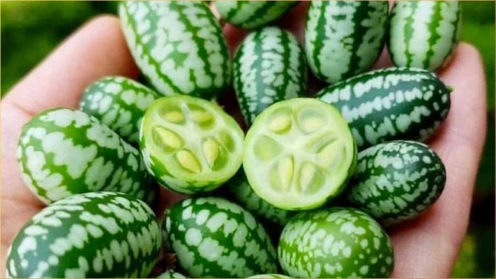 सेहत: इस सब्जी को खाने से विटामिन-सी सहित शरीर को मिलते हैं ये फायदे