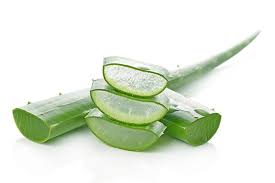 एक्ने को दूर करेगा एलोवेरा, बस ऐसे करें इस्तेमाल