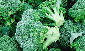 गोभी की तरह दिखती ये सब्जी है प्रोटीन का खजाना