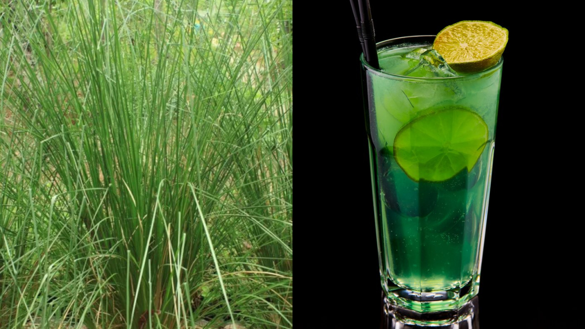 गर्मी में खस का शरबत पीने के फायदे