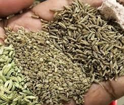 इन चीजों को कहा गया है पेट और पाचन के लिए पंचामृत