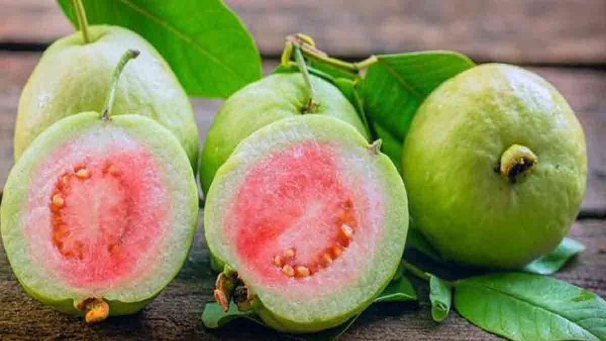 अमरूद को भूनकर खाने के फायदे