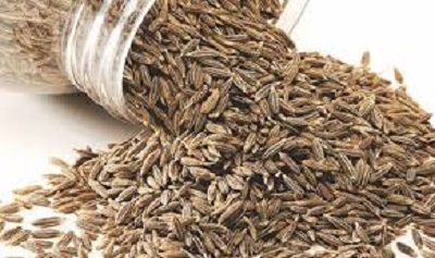 बैड कोलेस्ट्रॉल में जीरा है फायदेमंद