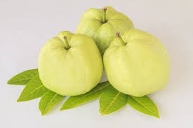 बालों में तेजी से ग्रोथ के लिए फायदेमंद है अमरुद के पत्ते 