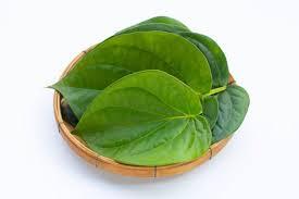 पान के पत्ते चबाने से पाएं बेहतरीन सेहत के फायदे !