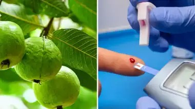 डायबिटीज में अमरूद खाने के फायदे