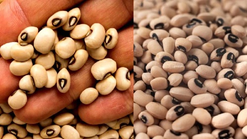 इस दाल को कहा जाता है सर्दियों का पावरहाउस