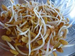 अंकुरित मेथी के फायदे