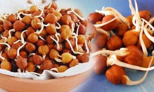 भिगोएं नहीं, अंकुरित चने खाएं और पाएं दोगुना पोषण 