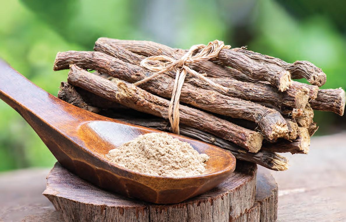 पोषक तत्वों से समृद्ध मुलेठी