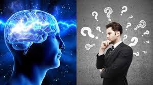 याददाश्त को मजबूत करने वाले फूड्स