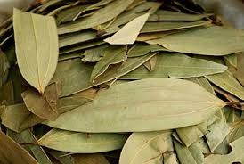 सेहत के लिए काफी फायदेमंद है तेज पत्ता