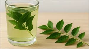 क्या कभी पिया है करी पत्ते का पानी?