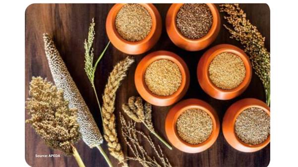 भारत ने 2024-25 में 180.15 लाख टन मिलेट का उत्पादन किया, राजस्थान सबसे आगे, महाराष्ट्र दूसरे व कर्नाटक तीसरे स्थान पर