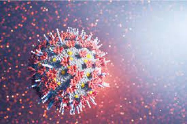 Primary series and original booster provide protection against Omicron infection