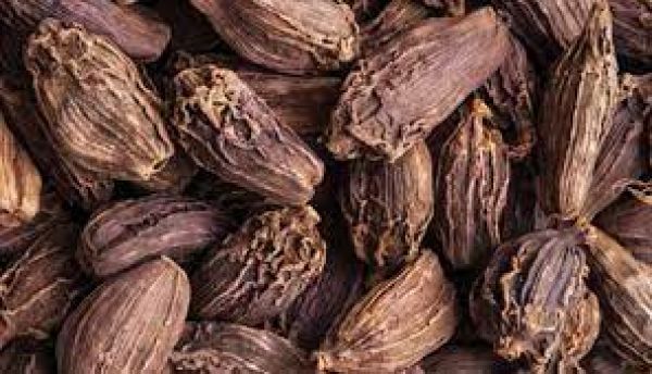 किडनी स्टोन से लेकर हार्ट डिजीज़ तक में फायदेमंद है काली इलायची