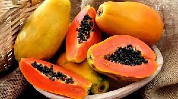 गुणों का खजाना है पपीता 