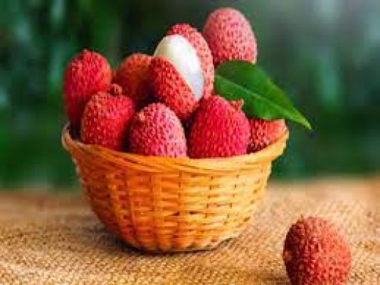 सेहत के लिए फायदेमंद होती है लीची